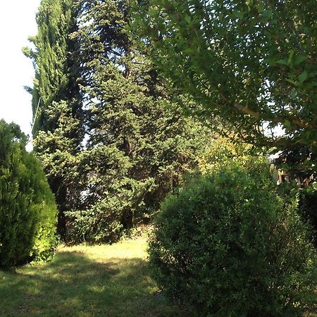 Il Belvedere Di Roccavo Villa Castiglion Fiorentino Ngoại thất bức ảnh