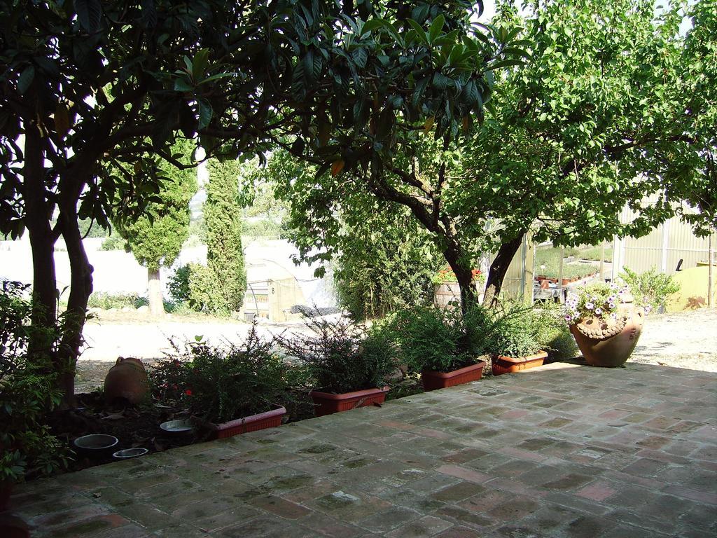Il Belvedere Di Roccavo Villa Castiglion Fiorentino Ngoại thất bức ảnh